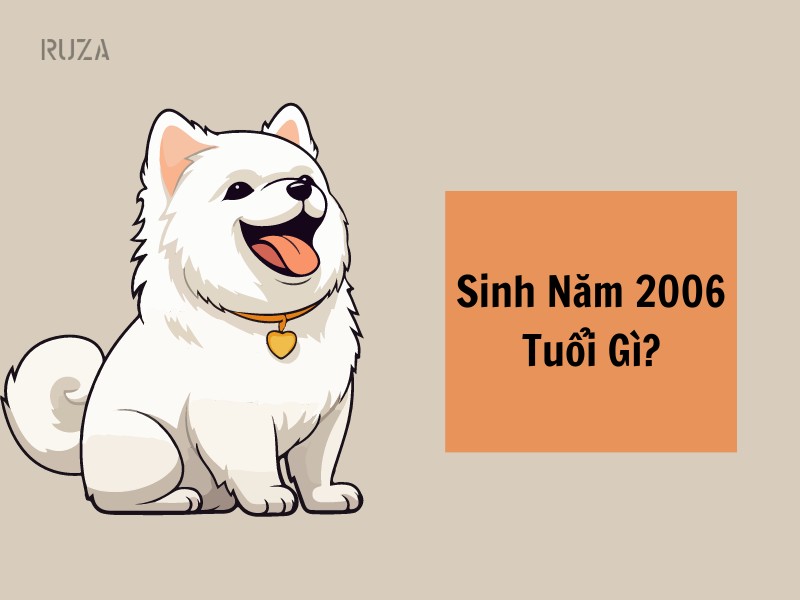 Tuổi Bính Tuất 2006 Mệnh Gì? Hợp Với Tuổi Gì, Hợp Màu Gì?