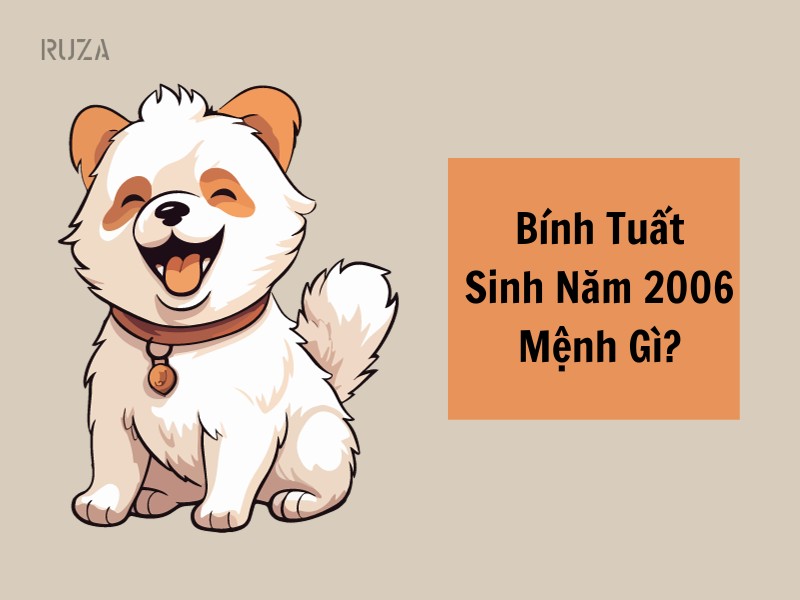 Tuổi Bính Tuất 2006 Mệnh Gì? Hợp Với Tuổi Gì, Hợp Màu Gì?