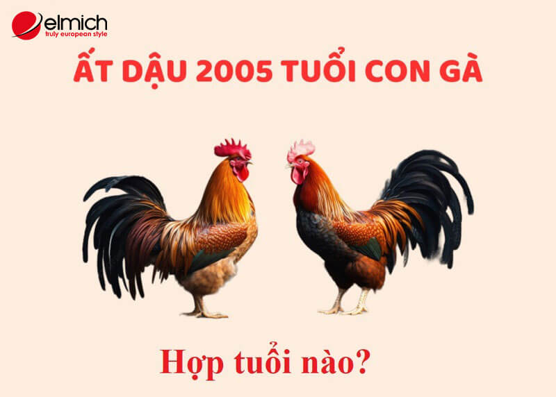 Sinh năm 2005 tuổi Ất Dậu mệnh gì, hợp màu gì?