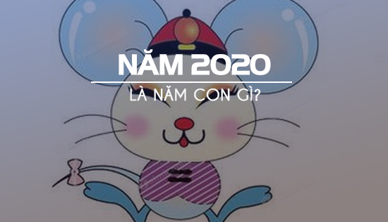 Năm 2020 đại diện cho con giáp nào?