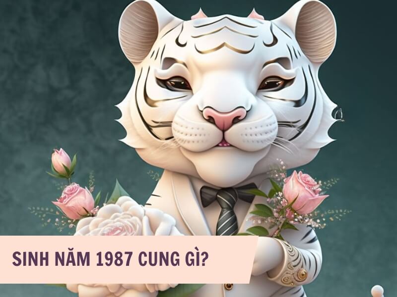 Tuổi Bính Dần 1986 Mệnh Gì? Hợp Với Tuổi Gì, Hợp Màu Gì?