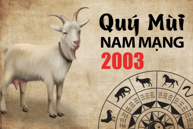 2003 mệnh gì? Hướng dẫn chọn phụ kiện hợp mệnh người sinh năm 2003