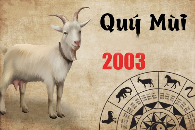 2003 mệnh gì? Hướng dẫn chọn phụ kiện hợp mệnh người sinh năm 2003