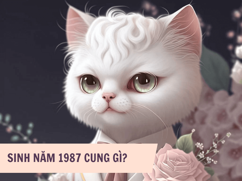 Tuổi Đinh Mão 1987 Mệnh Gì? Hợp Với Tuổi Gì, Hợp Màu Gì?