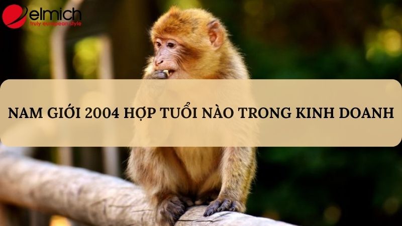 Giải mã chi tiết Giáp Thân 2004 hợp tuổi gì trong làm ăn và hôn nhân