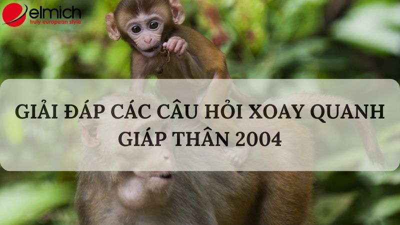 Giải mã chi tiết Giáp Thân 2004 hợp tuổi gì trong làm ăn và hôn nhân