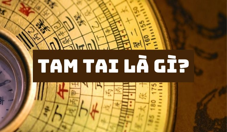 Người sinh năm 1961 mệnh gì? Khám phá vận mệnh tuổi Tân Sửu