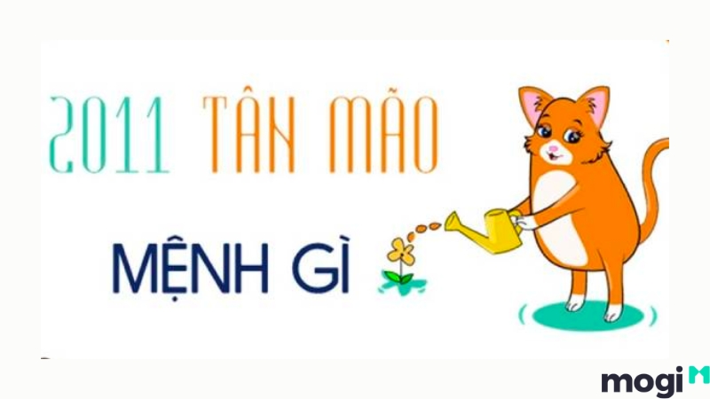 Sinh Năm 2011 Mệnh Gì? Tân Mão 2011 Hợp Với Tuổi Nào? Màu Nào?