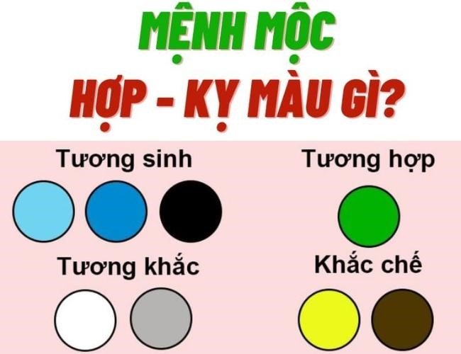 Mệnh Mộc Sinh Năm Bao Nhiêu? Giải Mã Phong Thuỷ Về Mệnh Mộc