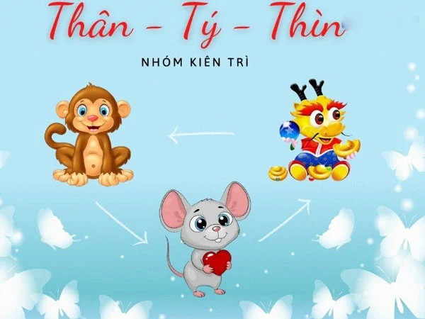 Tuổi Thìn hợp hướng nào, tuổi gì? [PHONG THỦY CHÍNH XÁC]