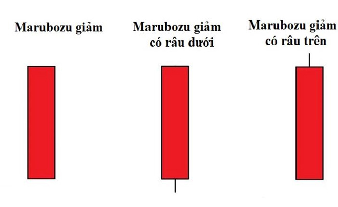 Nến marubozu là gì? Cách giao dịch với nến marubozu trong đầu tư chứng khoán