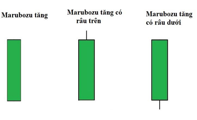 Nến marubozu là gì? Cách giao dịch với nến marubozu trong đầu tư chứng khoán