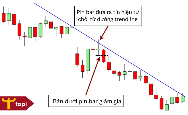 Nến pin bar là gì? Đặc điểm và cách giao dịch hiệu quả với nến pin bar