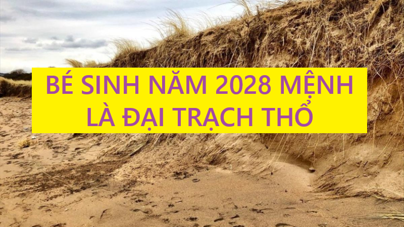 Sinh con năm 2028 và những điều bố mẹ cần biết