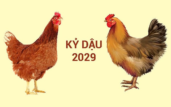 Năm 2029 là năm con gì? Năm 2029 mệnh gì và hợp với bố mẹ tuổi nào? Đây là thắc mắc của rất nhiều người, nhất là những cặp vợ chồng có ý định sinh con năm 2029. Bài viết sau đây, Công Ty Nệm sẽ giải đáp những thắc mắc trên giúp bạn.