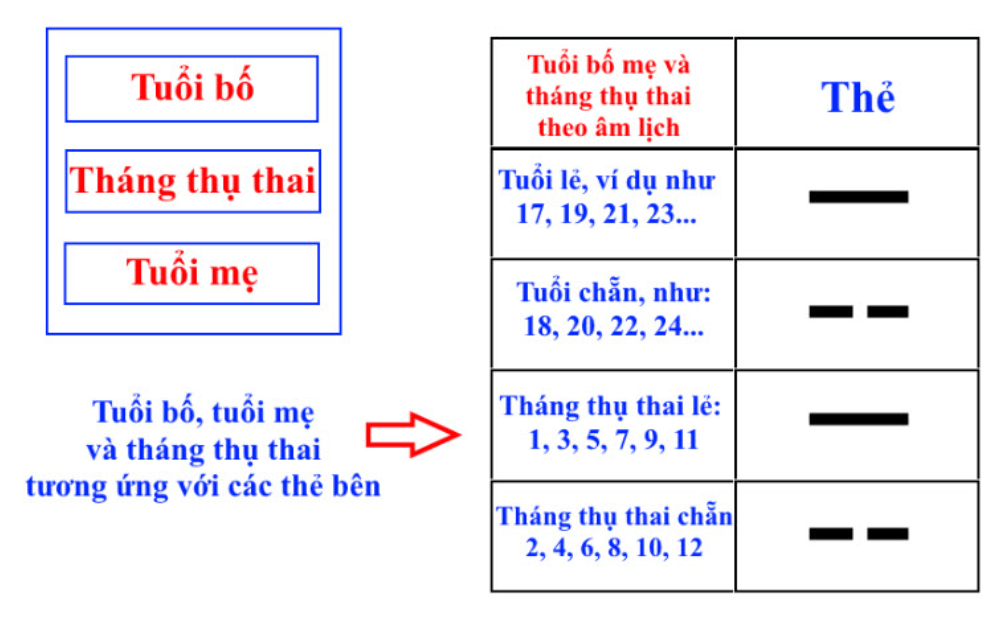 Sinh con năm 2028 và những điều bố mẹ cần biết