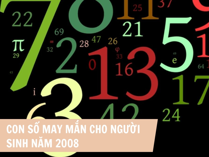 Tuổi Mậu Tý 2008 Mệnh Gì? Hợp Với Tuổi Gì, Hợp Màu Gì?