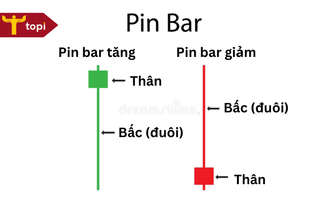 Nến pin bar là gì? Đặc điểm và cách giao dịch hiệu quả với nến pin bar