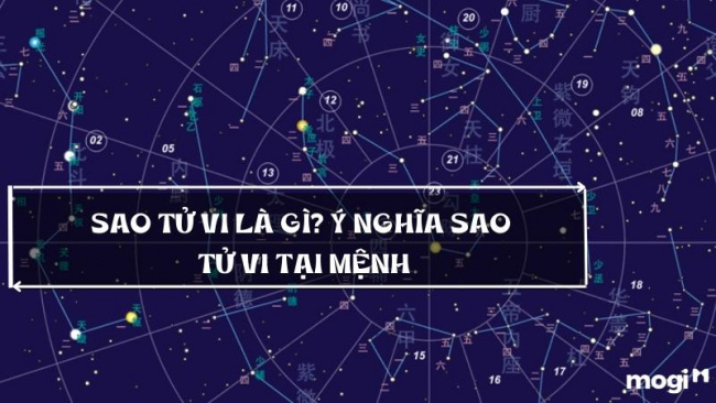 Tìm hiểu về Sao Tử Vi và Ý Nghĩa Trong Các Cung Mệnh