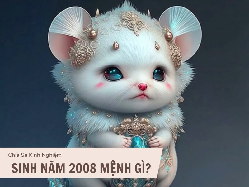 Tuổi Mậu Tý 2008 Mệnh Gì? Hợp Với Tuổi Gì, Hợp Màu Gì?