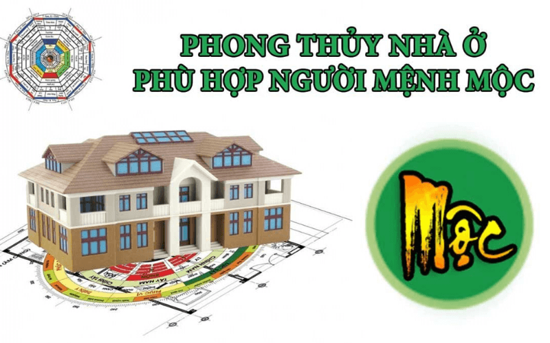 Mệnh Mộc hợp hướng nào trong phong thủy nhà ở