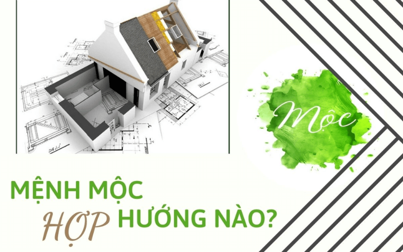 Mệnh Mộc hợp hướng nào trong phong thủy nhà ở