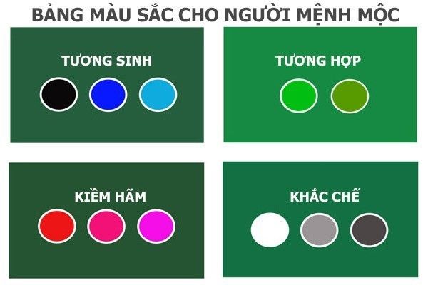 MỆNH MỘC HỢP MÀU GÌ? TIPS PHỐI ĐỒ HỢP MỆNH MỘC TRONG NĂM 2024 - ADAM STORE - Thương hiệu veston may sẵn hàng đầu Việt Nam