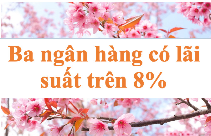 Lãi suất ngân hàng hôm nay 9.8: Ba ngân hàng trên 8%