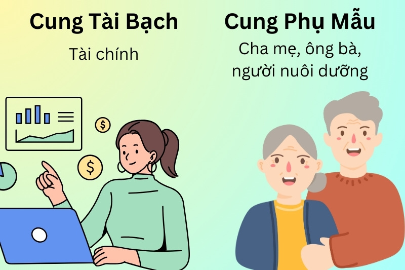 Lá số tử vi là gì? Cấu tạo và ý nghĩa của các ô lá số tử vi