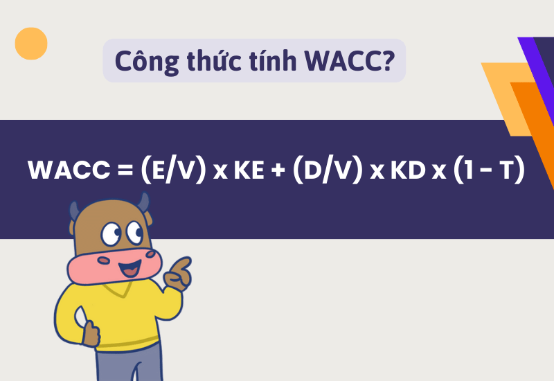 WACC là gì và cách tính WACC chính xác nhất