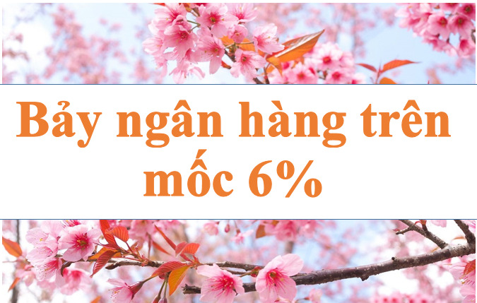 Lãi suất ngân hàng hôm nay 14.8: Bảy ngân hàng trên mốc 6%