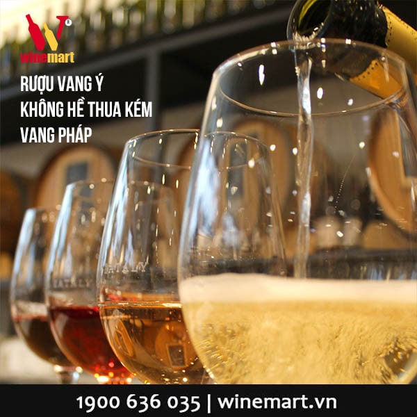 Rượu vang Ý cao cấp, nhập chính hãng