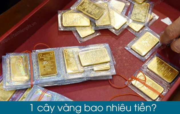 1 cây vàng bao nhiêu tiền, bao nhiêu chỉ