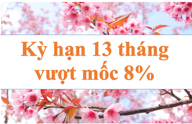 Lãi suất ngân hàng hôm nay 23.8: Kỳ hạn 13 tháng vượt mốc 8%