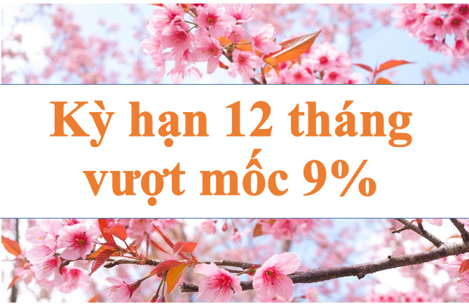 Lãi suất ngân hàng hôm nay 28.8: Kỳ hạn 12 tháng vượt mốc 9%