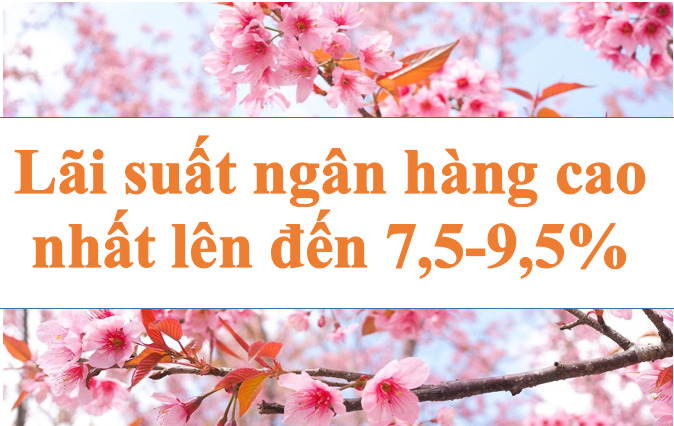 Lãi suất ngân hàng hôm nay 30.8: Cao nhất lên đến 7,5-9,5%