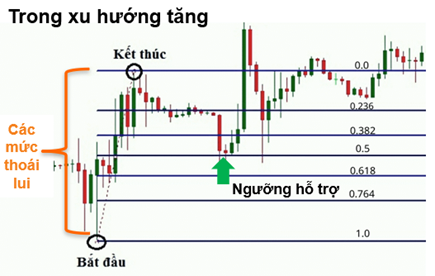 Chỉ báo Fibonacci là gì và ứng dụng của chỉ báo này trong phân tích kỹ thuật - Chứng khoán Mirae Asset Việt Nam