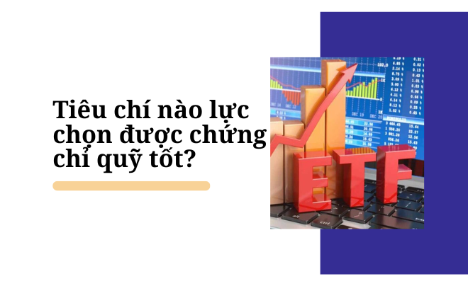 Top 5 chứng chỉ quỹ sinh lời tốt nhất 6 tháng đầu năm 2024