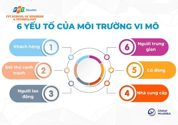 Môi trường vi mô là gì? 6 yếu tố cốt lõi của môi trường vi mô