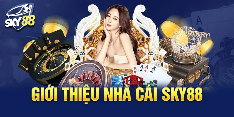 Đánh giá 25+ trang cá độ bóng đá uy tín nhất Việt Nam (10/2024)