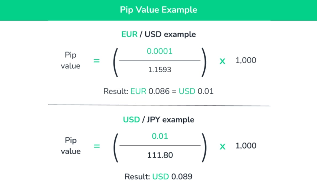 Lot và Pip là gì? Cách quản lý rủi ro với Pip và Lot trong Forex