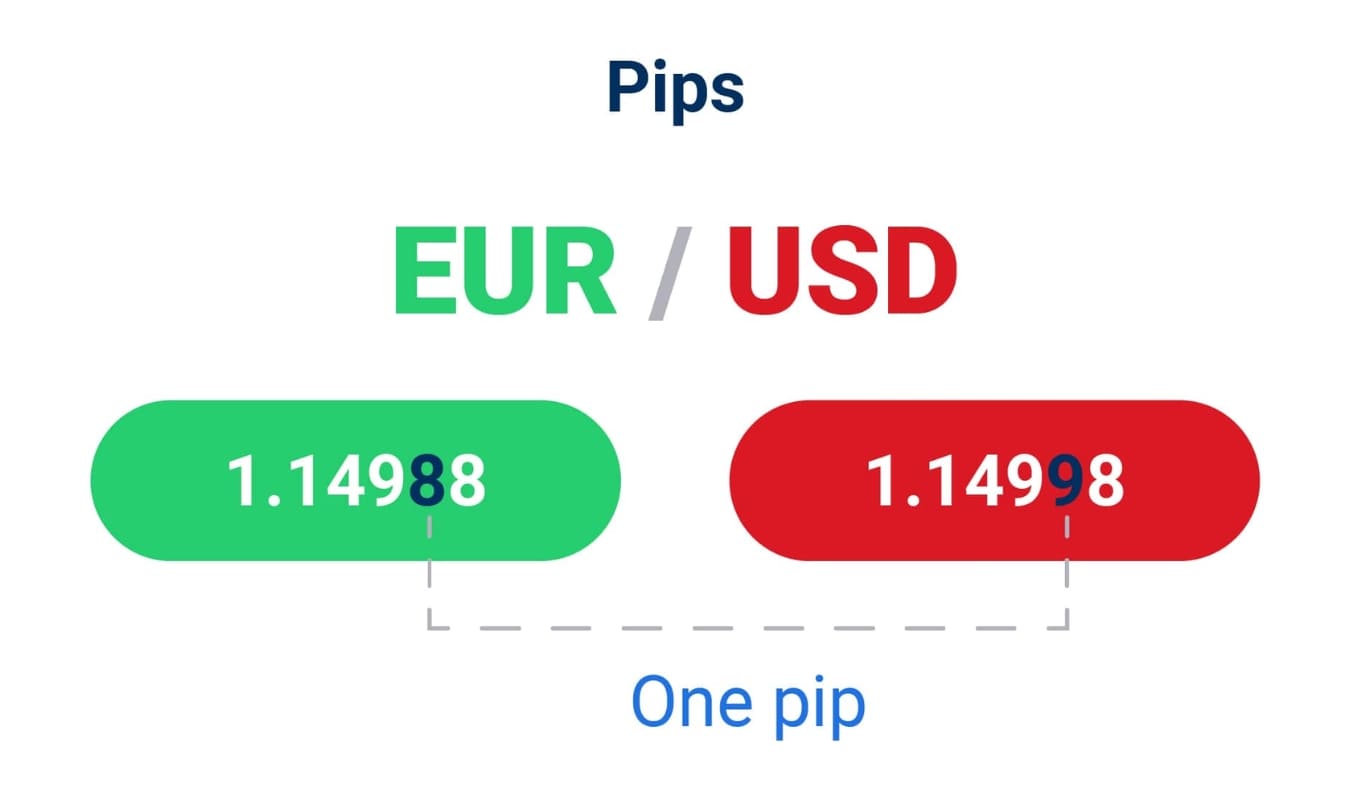 Lot và Pip là gì? Cách quản lý rủi ro với Pip và Lot trong Forex