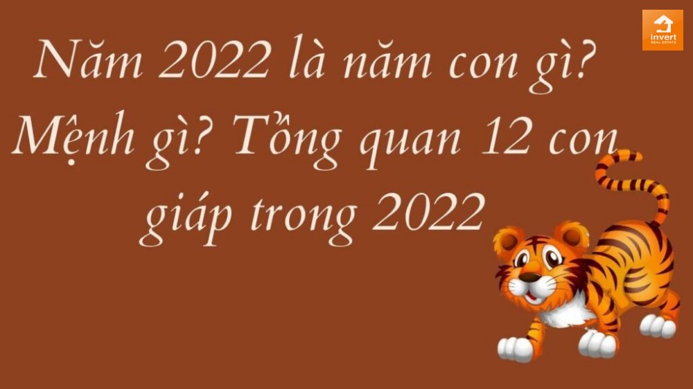 Năm nay là năm bao nhiêu? Có nên sinh con hay không?