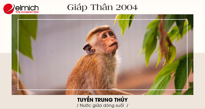 Nam, nữ 2004 tuổi Giáp Thân mệnh gì, hợp màu gì?