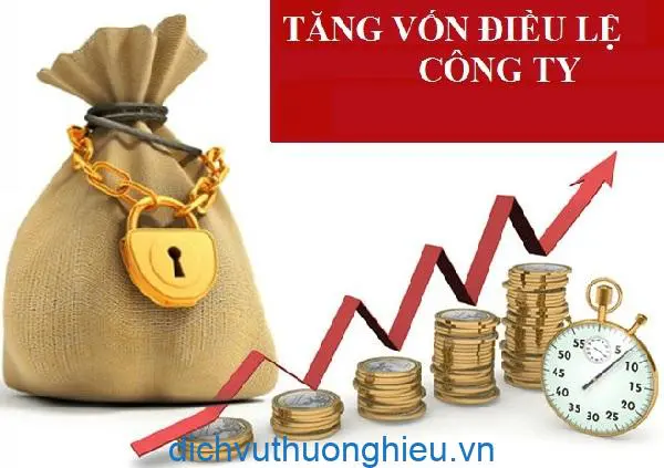 Vốn điều lệ tiếng Anh là gì? Luật Hoàng Phi 2022 mới nhất