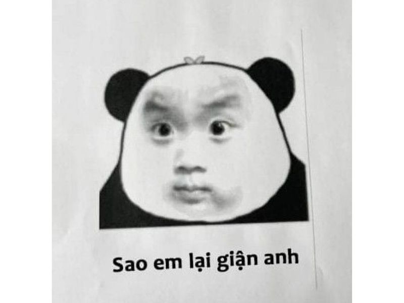 Tổng hợp 100 meme gấu trúc hài hước, hóm hỉnh và cực kỳ bá đạo