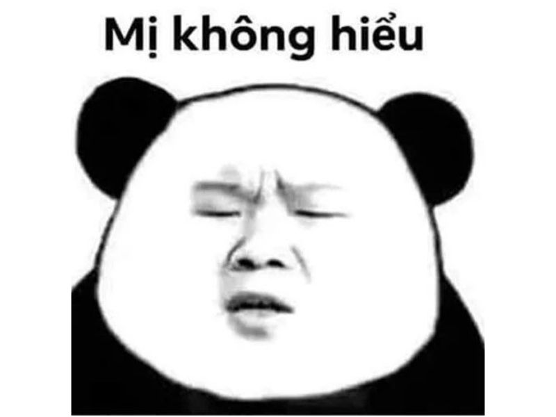 Tổng hợp 100 meme gấu trúc hài hước, hóm hỉnh và cực kỳ bá đạo