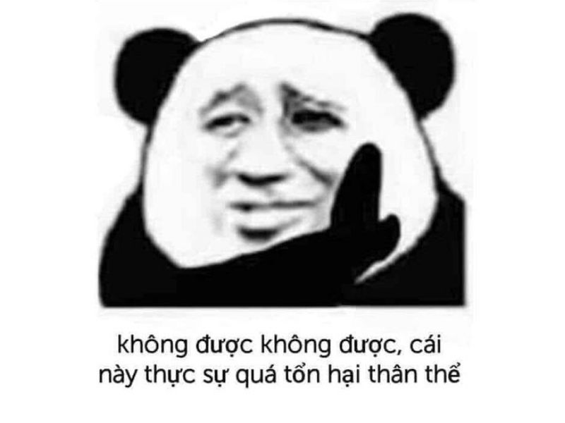 Tổng hợp 100 meme gấu trúc hài hước, hóm hỉnh và cực kỳ bá đạo