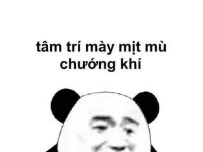 Tổng hợp 100 meme gấu trúc hài hước, hóm hỉnh và cực kỳ bá đạo