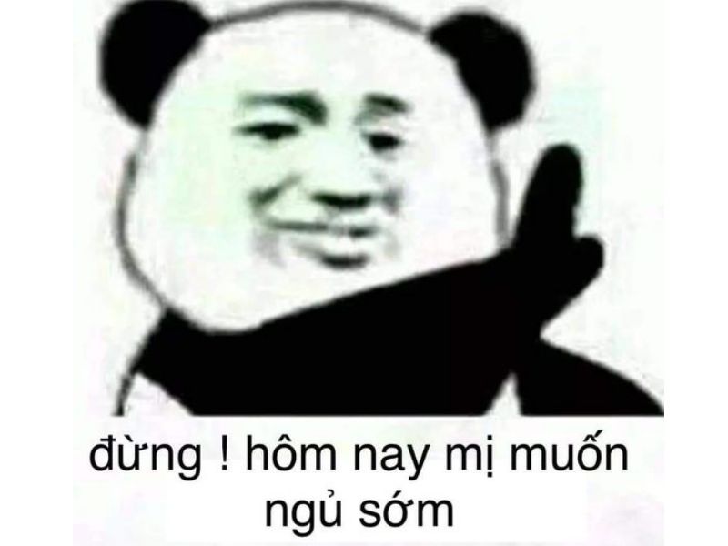 Tổng hợp 100 meme gấu trúc hài hước, hóm hỉnh và cực kỳ bá đạo